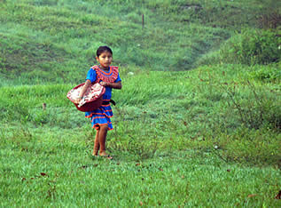 photo of a girl carrying a package in a field
