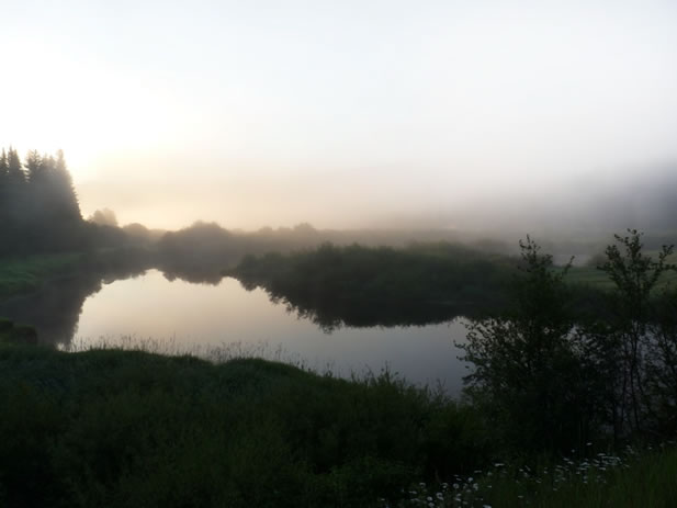 photo of a misty lake among pines