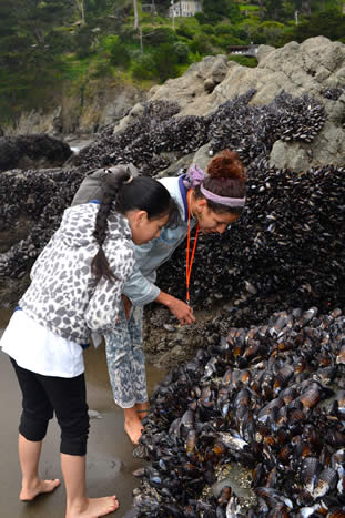 photo of children examing mussels at the shore