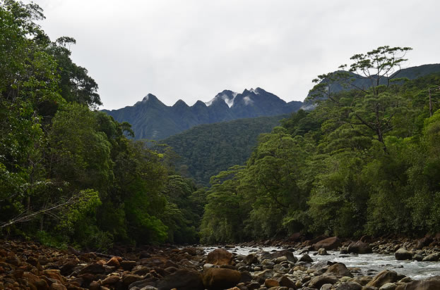 photo of tall, rugged, tropical mountains with a stream in the foreground