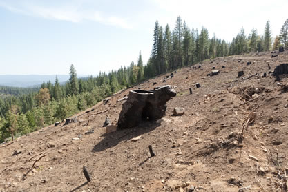 photo of a barren mountain landscape, stump in foreground