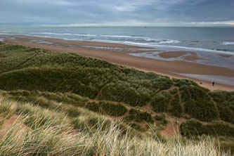 photo of a seascape, dunegrass and sky