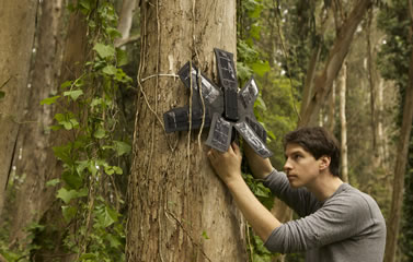 photo of a man working on a device attatched to a tree in a tropical forest, small solar panels surround it like the petals of a flower