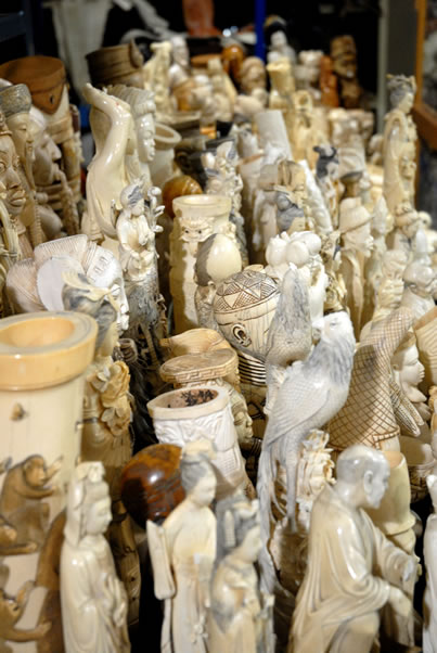 photo of many carved ivory figurines