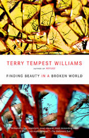 photo of the book's cover thumbnail; abstract broken glass and the words: Terry Tempest Williams, Finding Beauty in a Broken World