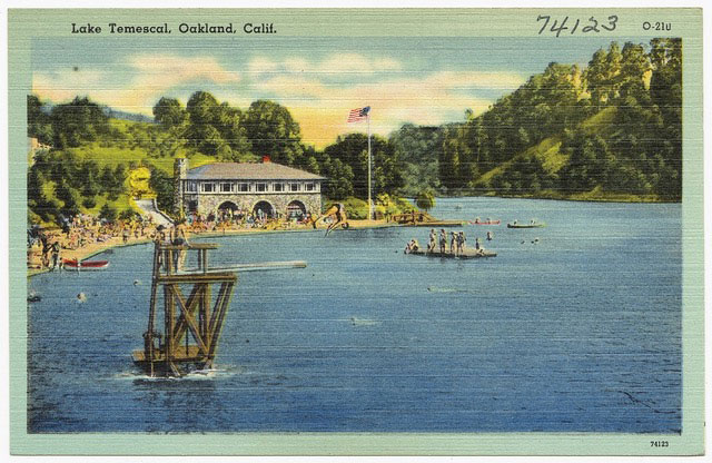photo of a postcard depicting an urban lake