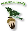 drawing of an acorn, shadow of San Francisco skyline on the kernel, words: Nature in the City