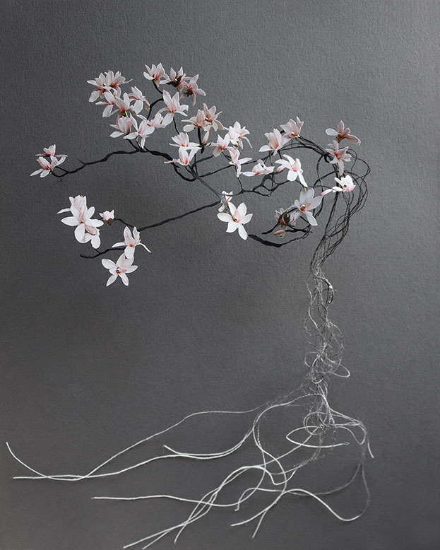 artwork depicting a spray of flowers, roots exposed
