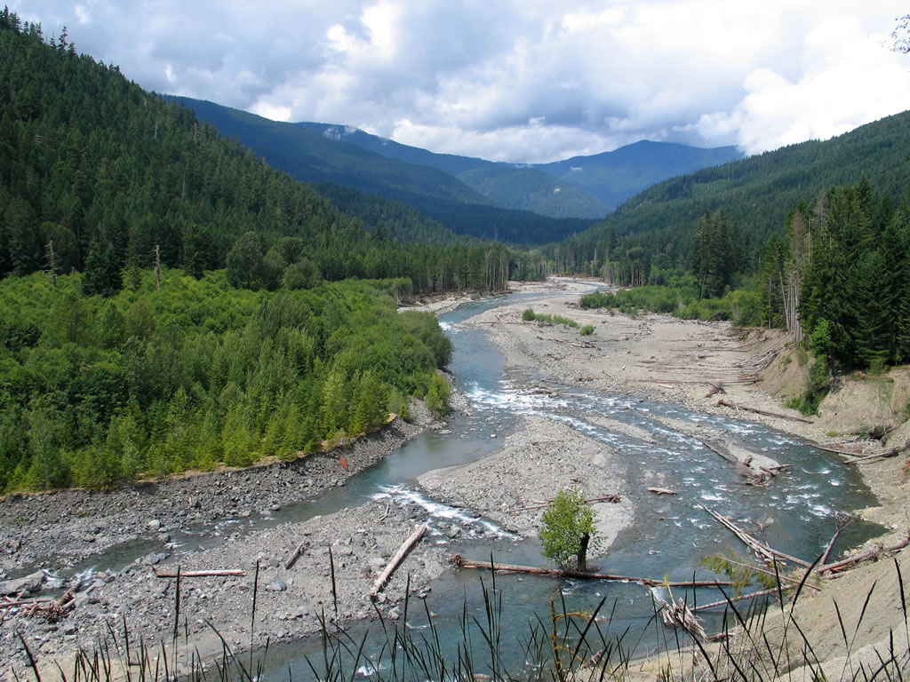 photo of a river in a wooded valley
