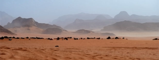 artwork showing an arid landscape