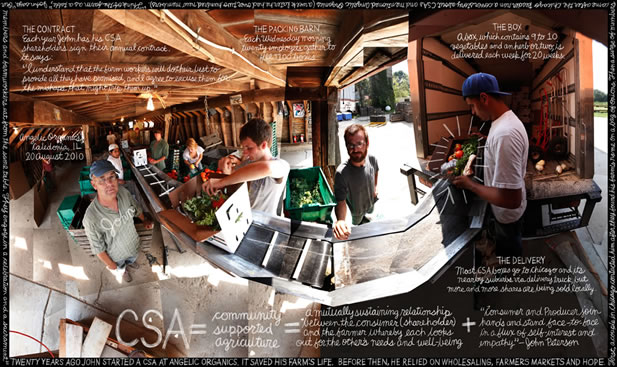 collage image depicting a packing barn where workers load produce into boxes on a belt, words describing the activity and the title CSA = Community Supported Agriculture