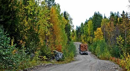photo of a fully-loaded logging truck passing through a forest