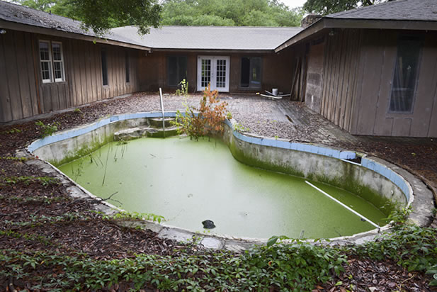 photo of a swimming pool covered in duckweed and algae, reeds growning through; a delapidated building in the background