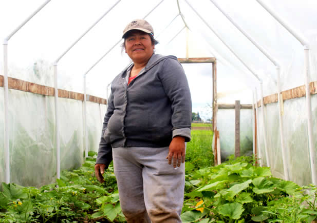 photo of a woman in a greenhouse