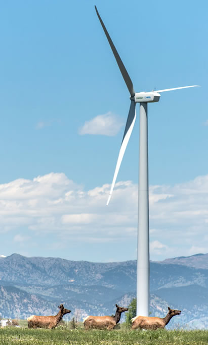 photo of elk passing a wind turbine, high mountains in the background