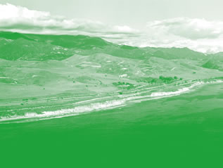 photo of a landscape tinted green