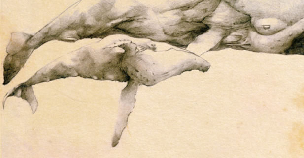 artwork depicting whales