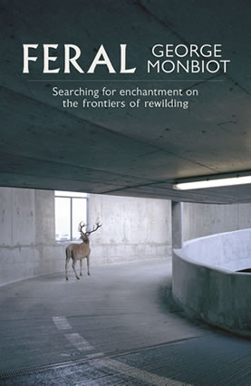 book cover image, showing a stag in a human landscape