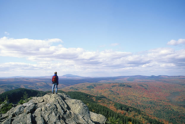 photo of a man, at the top of a hill, wide flowery vistas beyond