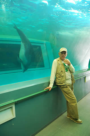 photo of a man in front of a sparse-looking tank, dolphin swimming inside