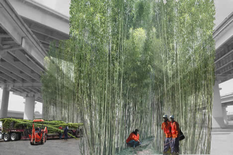 photo artwork showing construction workers around bamboo growing near a maze of freeway viaducts