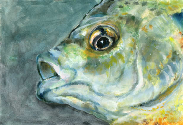painting of the eyes and mouth of a fish