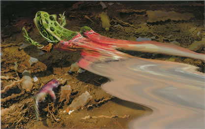 painting of a scene by a creed, with a frog dissolving into the water