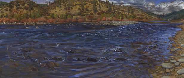 painting of a wild river flowing out of high mountains through a woodland, there are many salmon