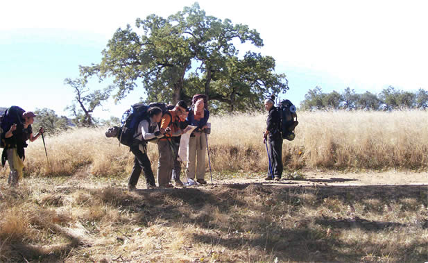 photo of backpacking young people looking at a map outdoors