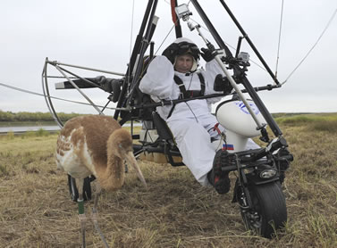 photo of a man strapped into a harness on an ultralight aircraft, a large bird nearby