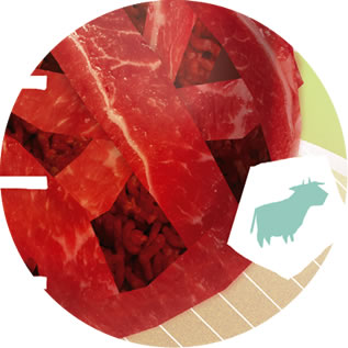 detail of a photo collage depicting a ball of meat inside a beaker, cartoon of a cow