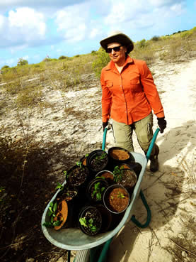 photo of a woman pushing a wheelbarrow full of potted plants in a denuded tropical landscape