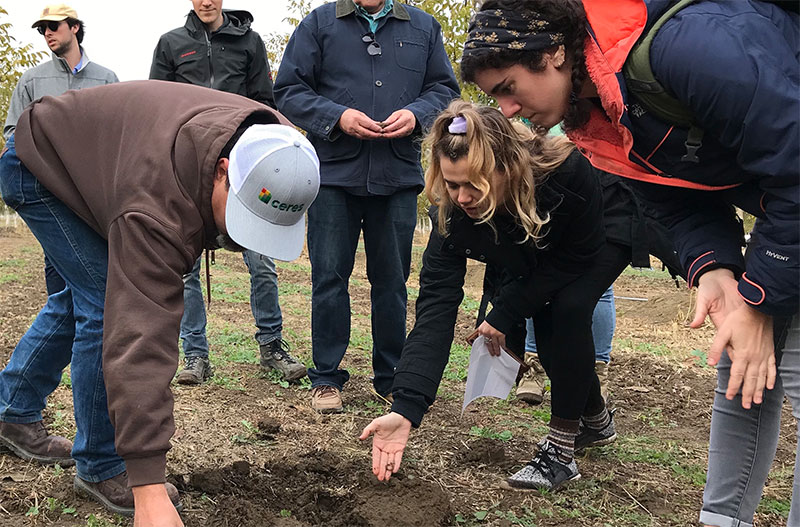 photo of a people working in soil