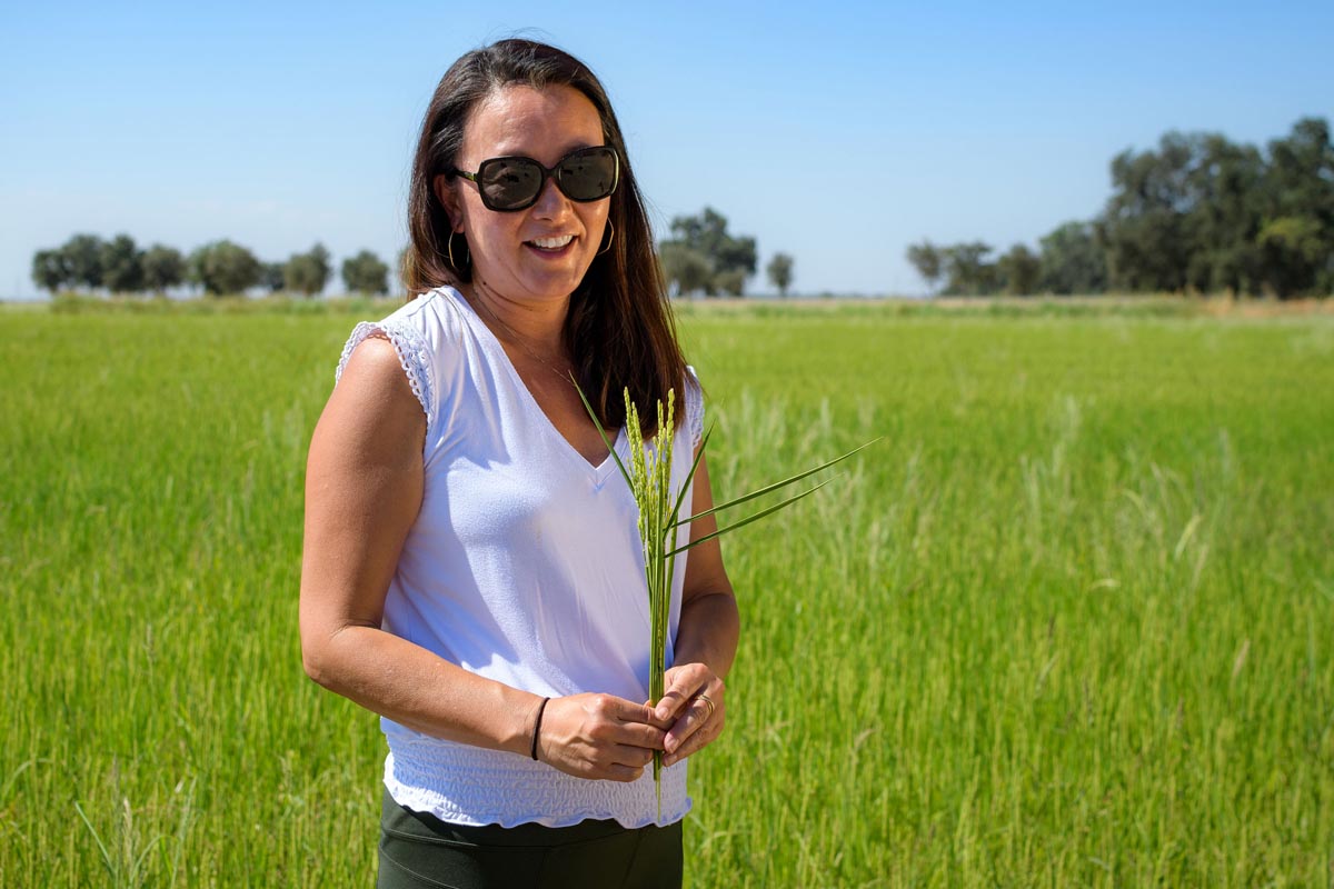 a woman holding a rice stem, standing in a field
