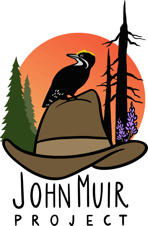 artwork depicting a ranger hat, a bird, and a forest