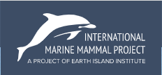 stylized dolphin leaping, words: Earth Island Institute